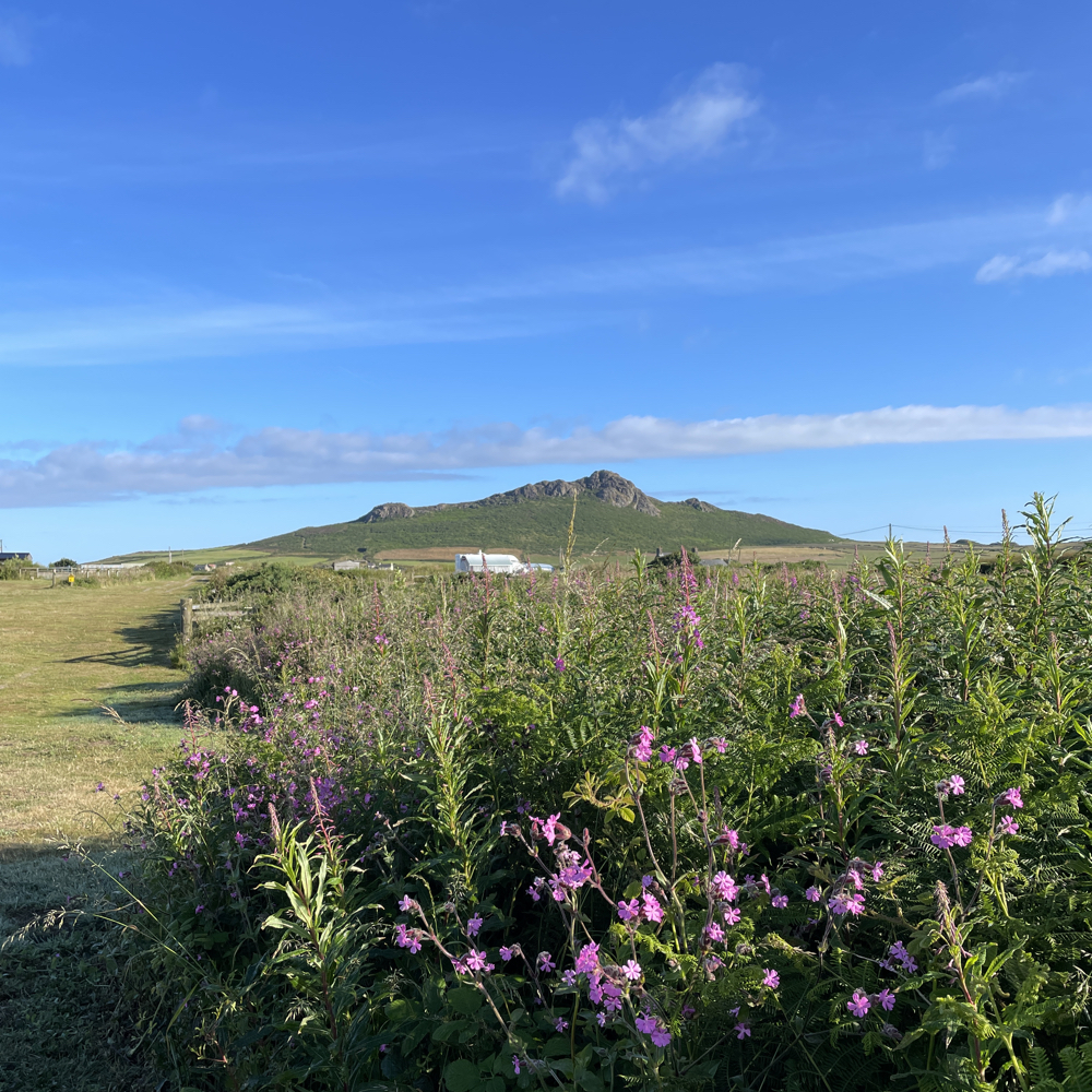 Stacks Image 569
