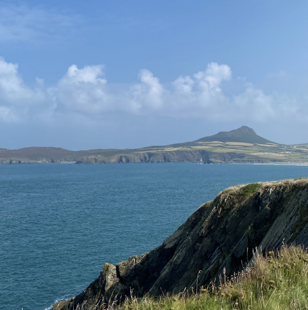 Stacks Image 532