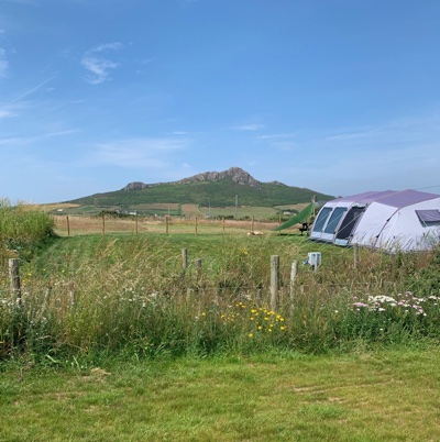 Stacks Image 174