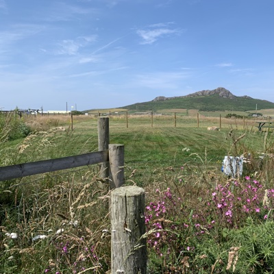 Stacks Image 157