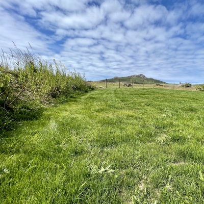 Stacks Image 161